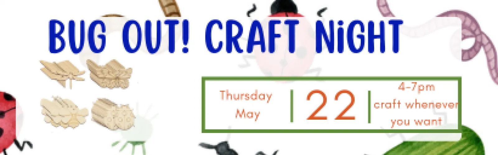 Bug out craft Night 