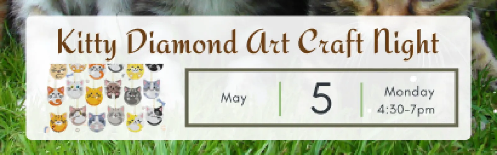 May Diamond Art Craft Night 